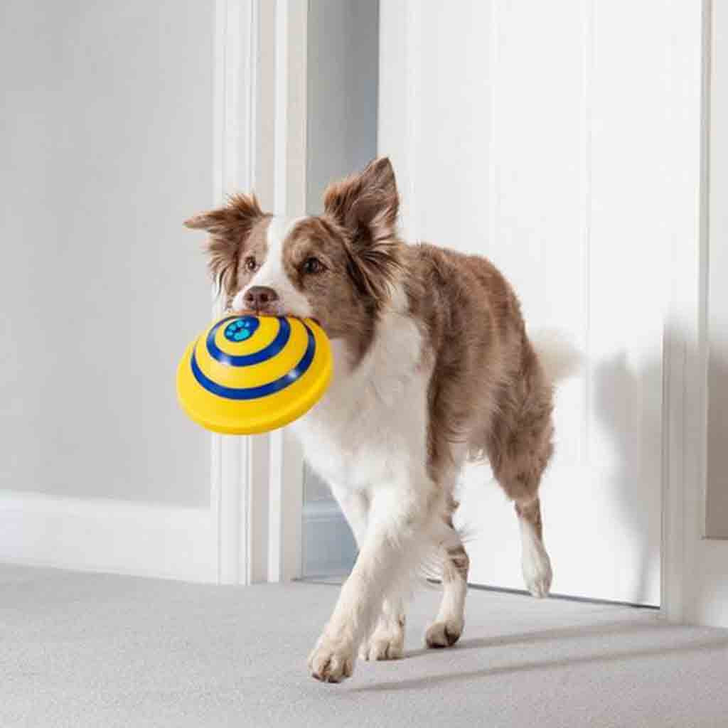 Sounding Disc Woof Glider Soft & Safe Indoor Dogs Play Toy - Fluffy Peach