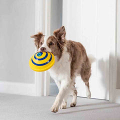 Sounding Disc Woof Glider Soft & Safe Indoor Dogs Play Toy - Fluffy Peach