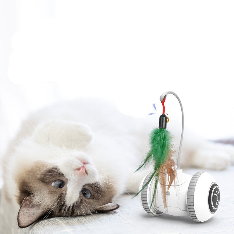 Interactive Cat Toy With Interchangeable Heads  Pet Feather Toys - Fluffy Peach