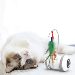 Interactive Cat Toy With Interchangeable Heads  Pet Feather Toys - Fluffy Peach