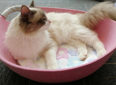 Pet Perch Cat Scratcher Bed House - Fluffy Peach