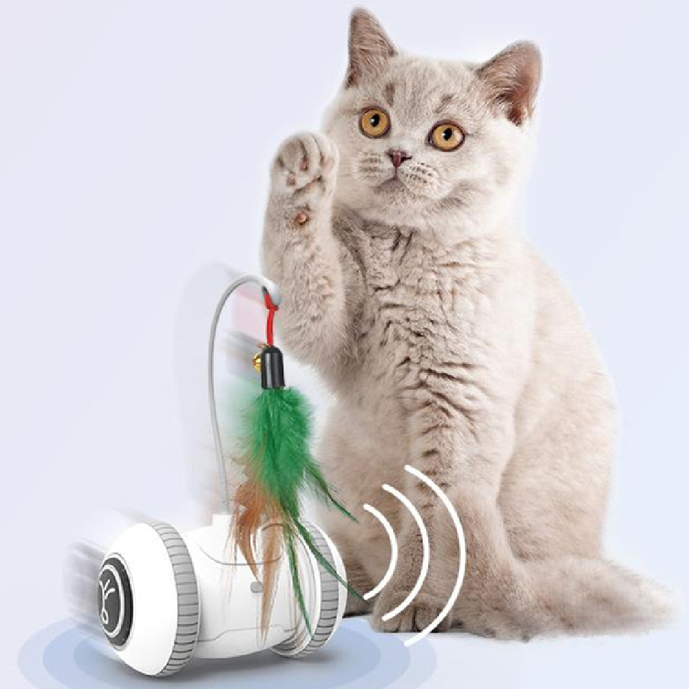 Interactive Cat Toy With Interchangeable Heads  Pet Feather Toys - Fluffy Peach